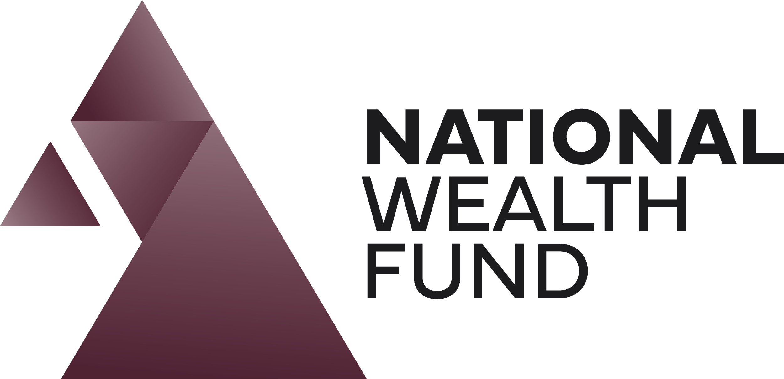 National Wealth Fund logo