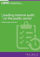 Leading internal audit in the public sector